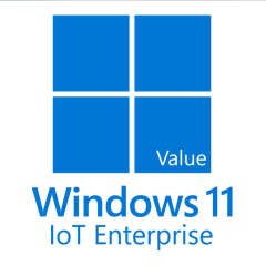 Win 11 IoT Enterprise Value FZP-00024