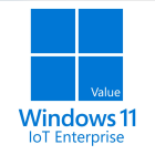 Win 11 IoT Enterprise Value FZP-00024